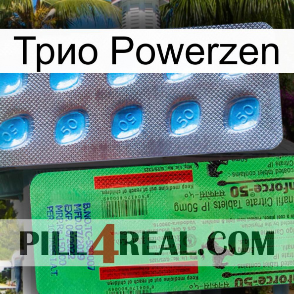 Трио Powerzen new03.jpg